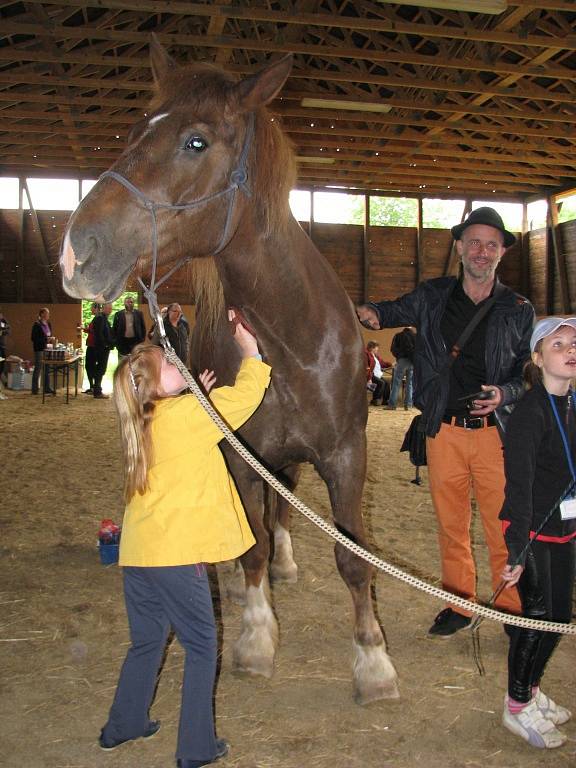 Deset let už funguje ve Vyšehorkách na Mohelnicku občanské sdružení Ryzáček, které nabízí především hiporehabilitaci.