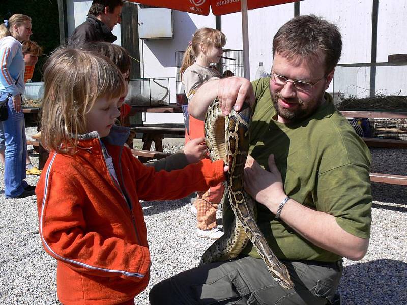 Exotickou havěť ze svých terárií předvedl v Zemědělském skanzenu v Rapotíně šumperský chovatel Marcel Minář