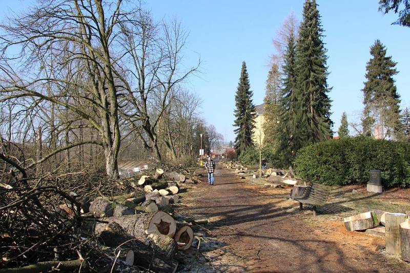 Ve Wolkerových sadech odborná firma pokácel sedm desítek přestárlých a neperspektivních stromů, další pak ošetřila.