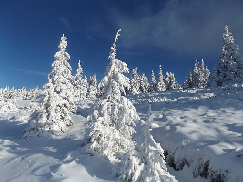 Snímky z prošlapávání první běžecké stopy zimy 2021/2022 mezi Ovčárnou a Švýcárnou.