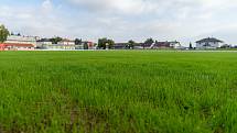 Fotbalové hřiště na stadionu v Zábřehu má nový povrch.