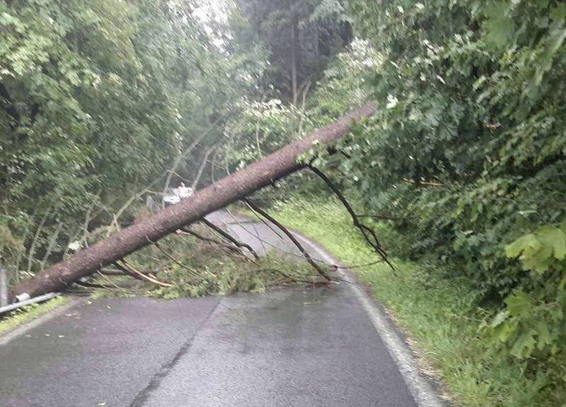 Následky silných bouřek ve čtvrtek 13. června na Šumpersku.