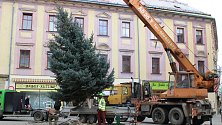 Vánoční stromy v Šumperku.