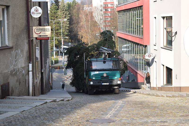 Kácení, převoz a usazování vánočního stromu v Šumperku.