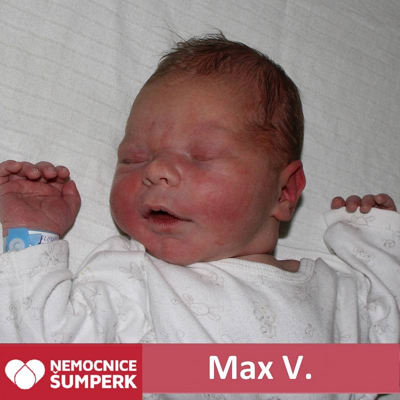 Max V., Mohelnice