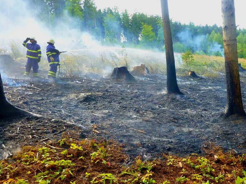 K požáru mýtiny lesa mezi Brníčkem a Dlouhomilovem vyjížděli ve čtvrtek 16. července odpoledne hasiči. Hořelo na ploše asi 150×100 metrů