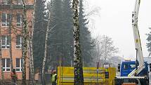 Břízy na sídlišti Sevrovýchod v Zábřehu jsou už přestárlé a padají z nich větve. Na ulici mezi kotelnou a základní školou je už nahradilo nové stromořadí z jiných listnatých stromů.