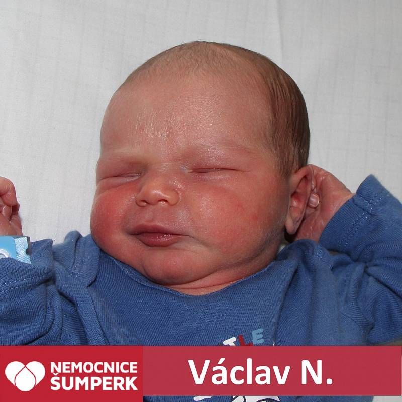 Václav N., Filipová