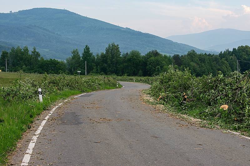 Vykácená alej v Supíkovicích.