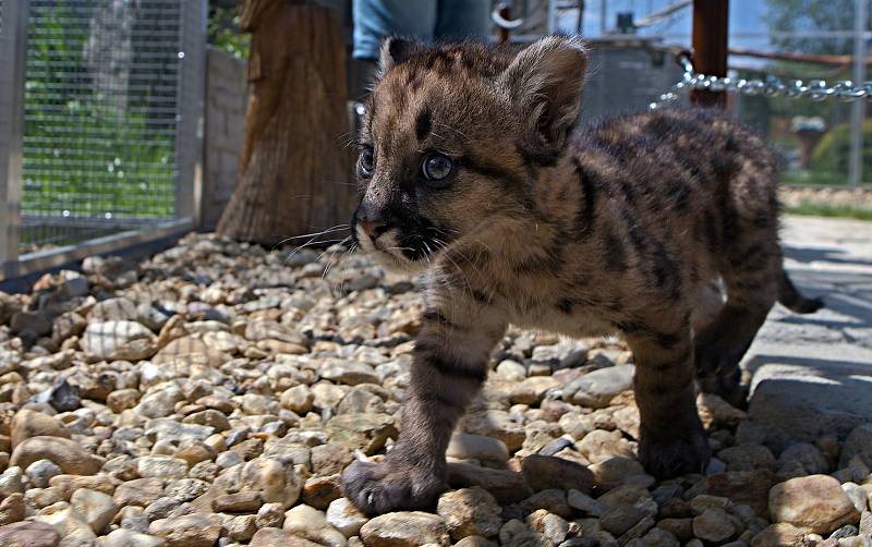 Fauna park Lipová lázně. 21. května 2020