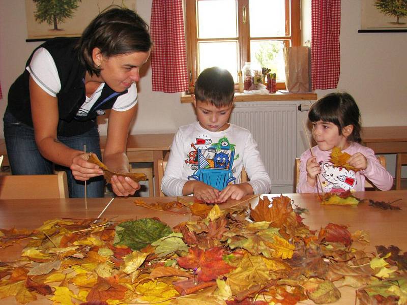 Ve středu 26. října v Pradědově dětském muzeu v Bludově děti tvořily z listí. 