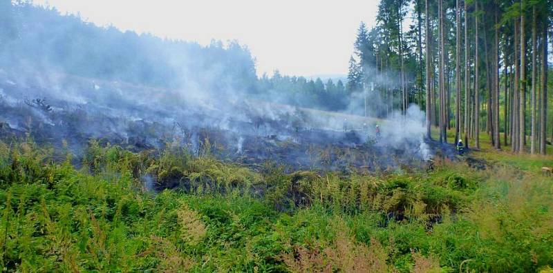 K požáru mýtiny lesa mezi Brníčkem a Dlouhomilovem vyjížděli ve čtvrtek 16. července odpoledne hasiči. Hořelo na ploše asi 150×100 metrů