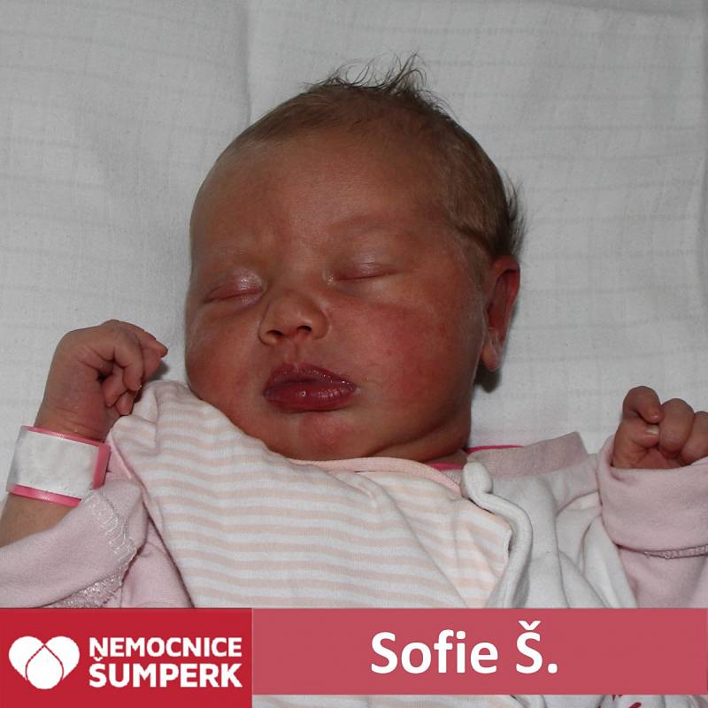 Sofie Š., Šumperk