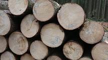 Samovýrobou dřeva lze za topení ušetřit tisíce korun 