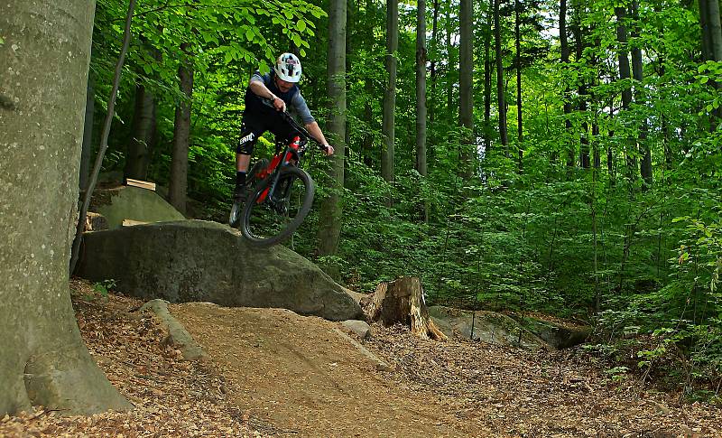 Jestřáb, nově budovaný trail Rychlebských stezek. 22. 5. 2020