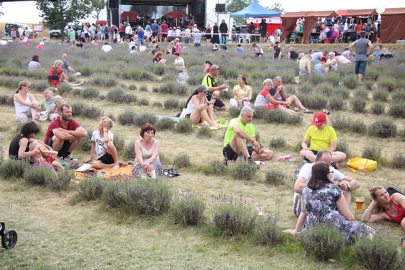 Levandulový festival v Bezděkově.