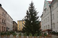 Vánoční strom v Šumperku.