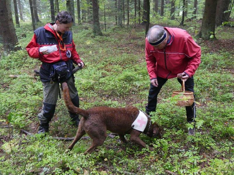 Pátrání po ztraceném turistovi v okolí motorestu Skřítek v Jeseníkách