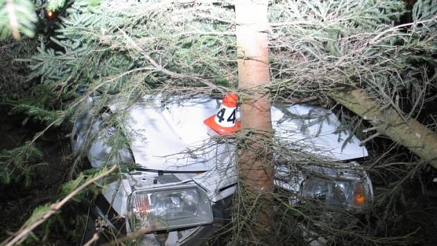 Náraz byl tak silný, že jeden strom auto přerazilo a druhý vyvrátilo. 