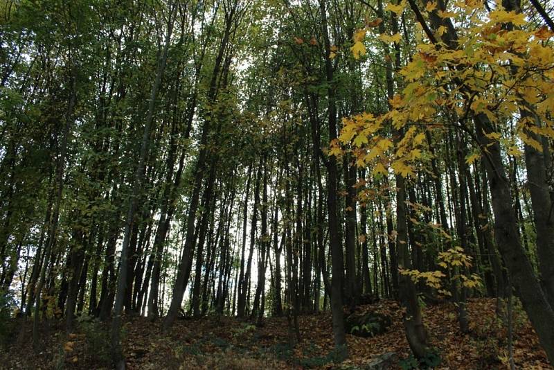 Podzimní procházka z Bludova na Bludovský kopec, Bludoveček do Šumperka.
