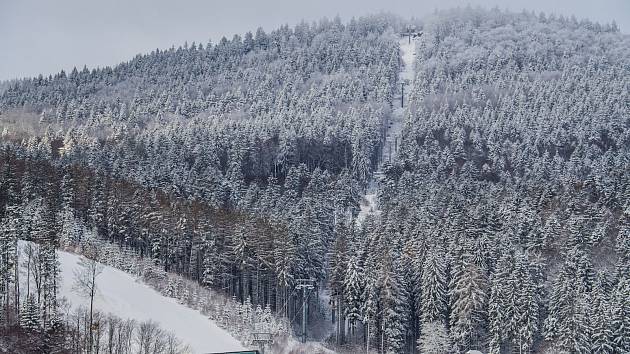 Lanovou dráhu v Červené Vodě obklopuje vzrostlý les