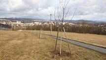 Z kopce Humenec je krásný výhled na panorama Zábřehu. Nedávno vysazená třešňová alej.