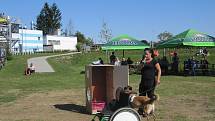 Psí festival v Zábřehu