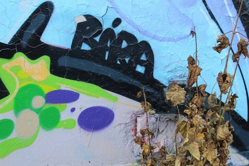 Graffiti při jízdě vlakem ze Šumperka do Zábřeha.