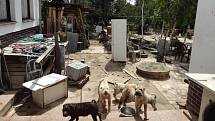 Inspektoři Státní veterinární správy objevili v Rapotíně množírnu psů.