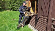 Policisté na Šumpersku kontrolují chaty, chalupy a další rekreační objekty.