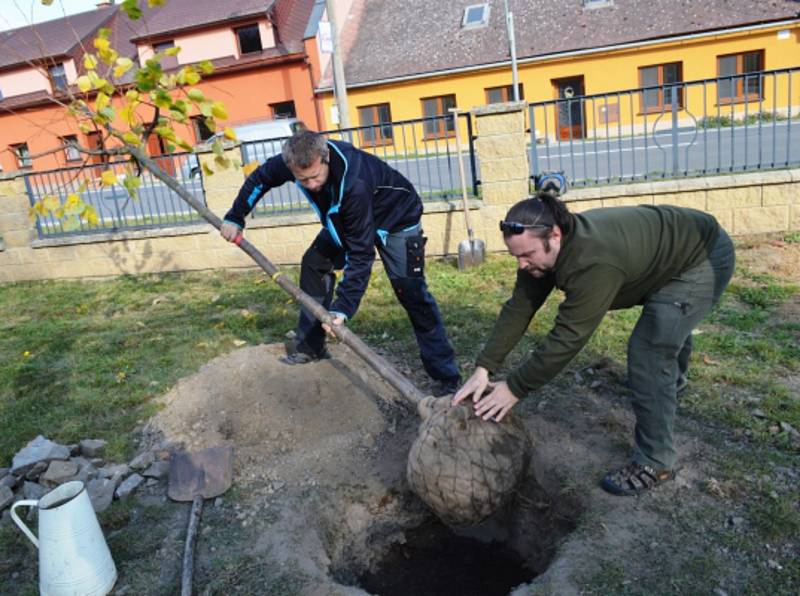 Sázení lip u příležitosti výročí sta let republiky v Lošticích. Foto: Nadace ČEZ