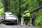 Zdemolované auto, na které spadl strom. V bílém pytli je zabalena žena, která ve vozidle zemřela