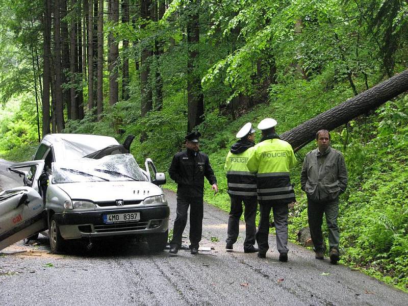 Zdemolované auto, na které spadl strom. V bílém pytli je zabalena žena, která ve vozidle zemřela