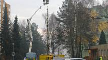 Břízy na sídlišti Sevrovýchod v Zábřehu jsou už přestárlé a padají z nich větve. Na ulici mezi kotelnou a základní školou je už nahradilo nové stromořadí z jiných listnatých stromů.