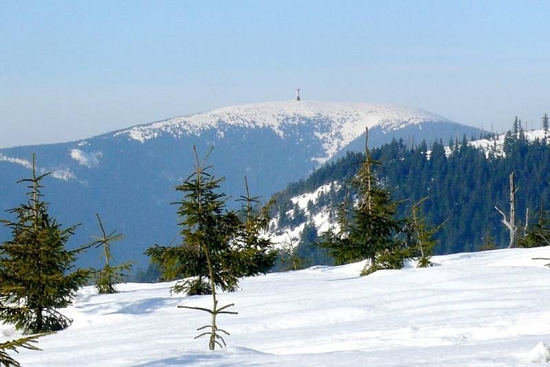 Pohled na Králický Sněžník z hory Slamník po výstavbě rozhledny.