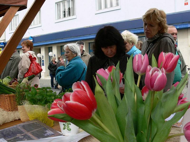 Farmářské trhy měly v Šumperku premiéru 1. dubna 2011