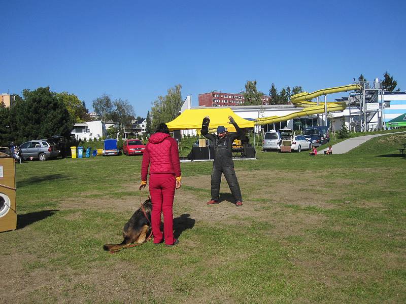 Psí festival v Zábřehu