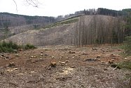 Následky kůrovcové kalamity - pohled od speleoterapie u Zlatých Hor přes pramennou oblast Zlatého potoka na protější kopce.