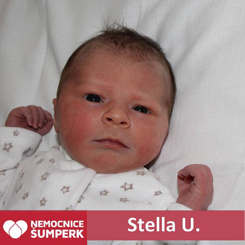 Stella U., Šumperk