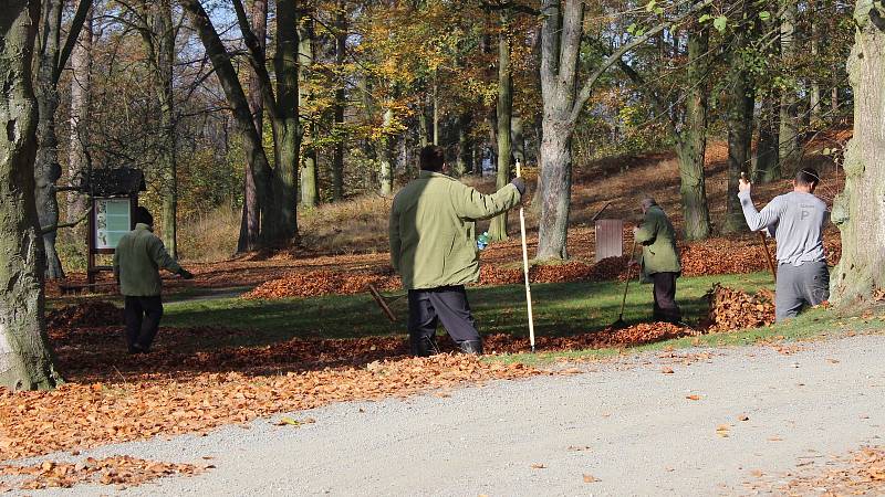 Vězni z Mírova pomáhají při podzimním úklidu parku na sousedním hradě Bouzov.