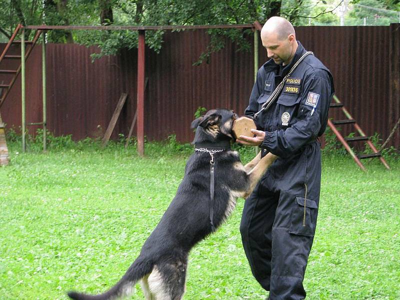 Snímky z akce Den policistou