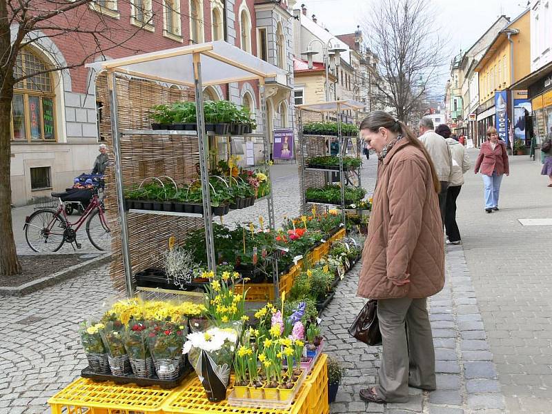 Květináři využili jarního počasí a vyložili zboží do ulic