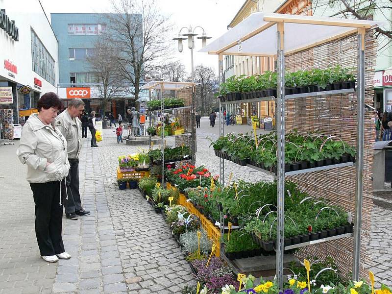 Květináři využili jarního počasí a vyložili zboží do ulic