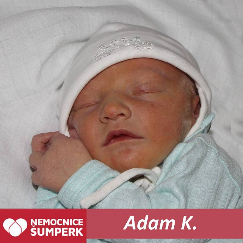 Adam K., Mohelnice