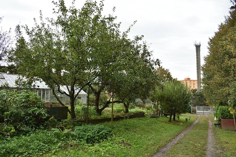 Šumperská zahrádkářská kolonie U Sanatoria v říjnu 2020.