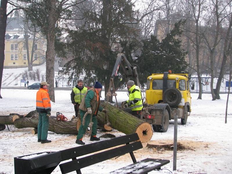 Dělníci začali kácet stromy ve Smetanových sadech v Šumperku.