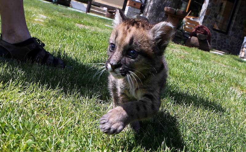 Fauna park Lipová lázně. 21. května 2020