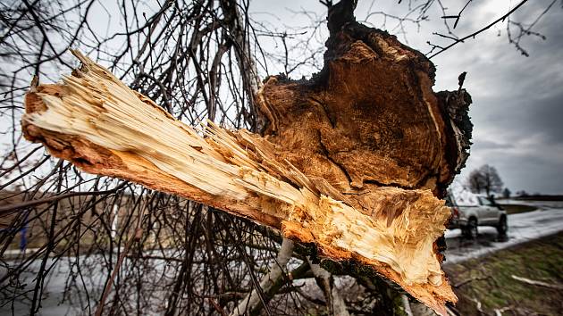 Silný vítr trápí Vysočinu: Na Žďársku jsou dvě stovky domácností bez proudu