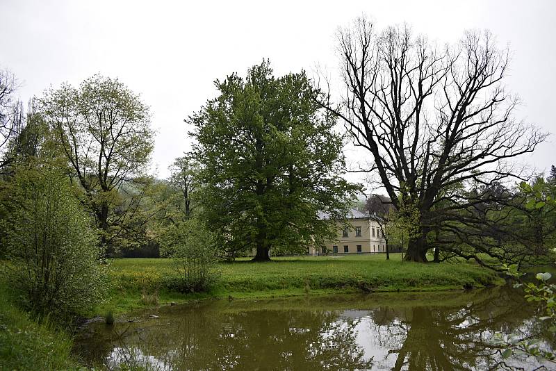 Nejen romantický park, ale interiéry zámku v Čechách pod Kosířem jsou k dispozici veřejnosti.