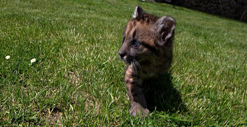 Fauna park Lipová lázně. 21. května 2020